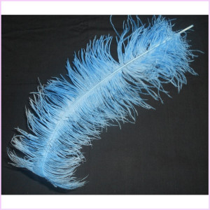 Ostrich Feather 60-70cm Pkt Royal Blue