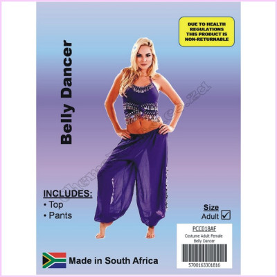 Costume Adult Belly Dancer