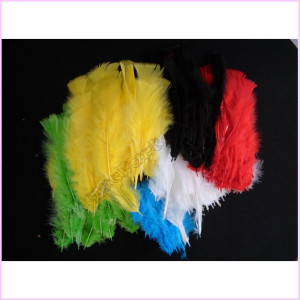 Feathers 10cm Pkt 25 Assorted Colours