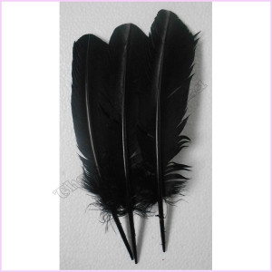 Feathers 30cm Pkt 3 Black