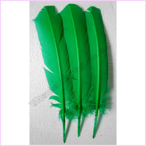 Feathers 30cm Pkt 3 Green