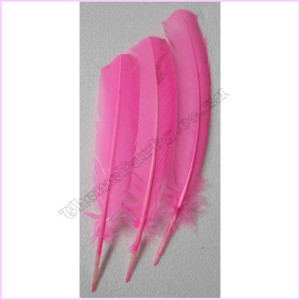 Feathers 30cm Pkt 3 Pink