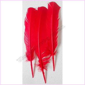 Feathers 30cm Pkt 3 Red