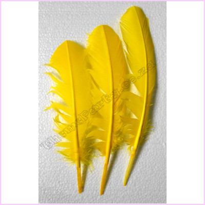 Feathers 30cm Pkt 3 Yellow