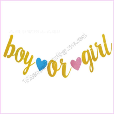 Baby Reveal Letter Banner Boy or Girl
